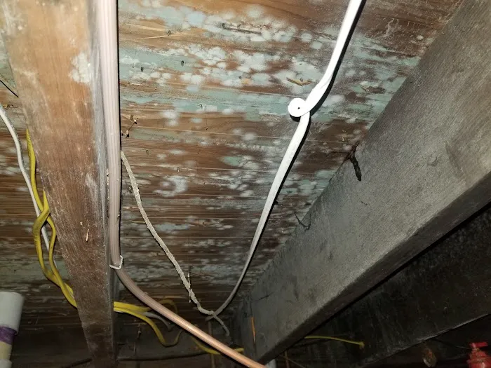 Slate Belt Mold Tech Picture 9