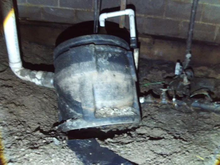 Slate Belt Mold Tech Picture 6