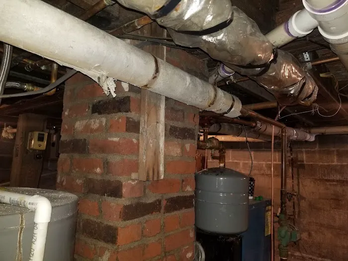 Slate Belt Mold Tech Picture 7