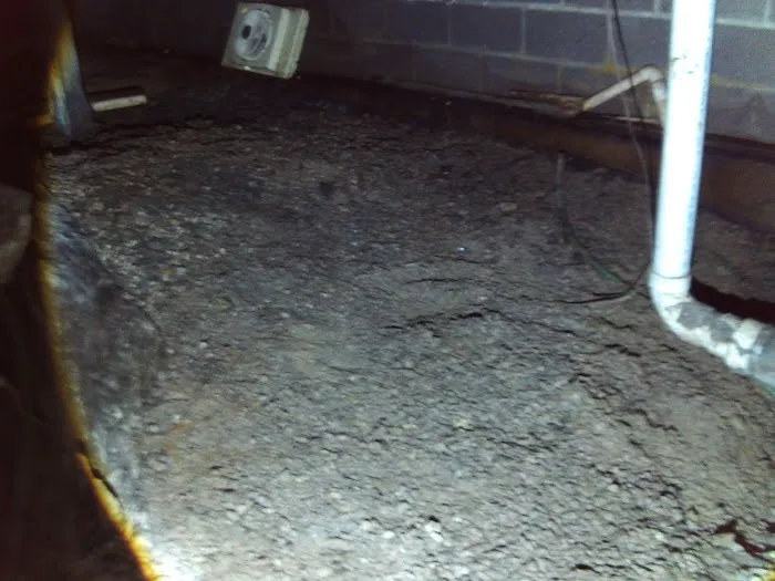 Slate Belt Mold Tech Picture 2