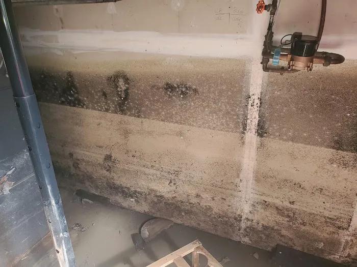 Slate Belt Mold Tech Picture 5