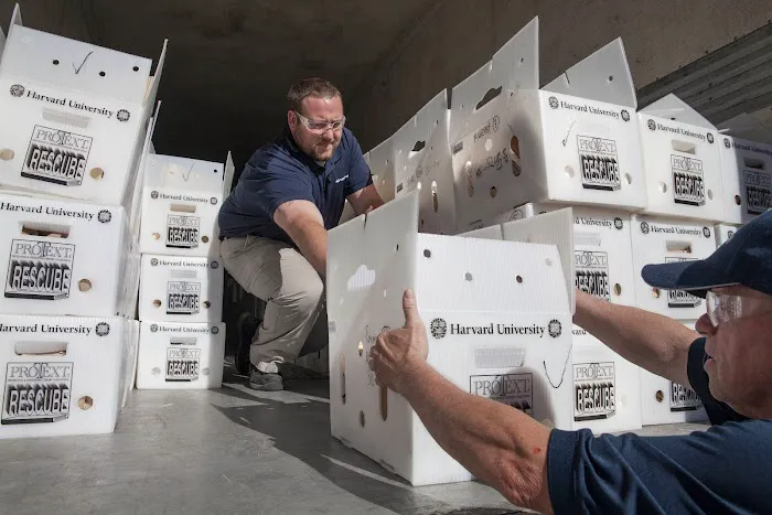 Polygon Document Service Center Picture 6