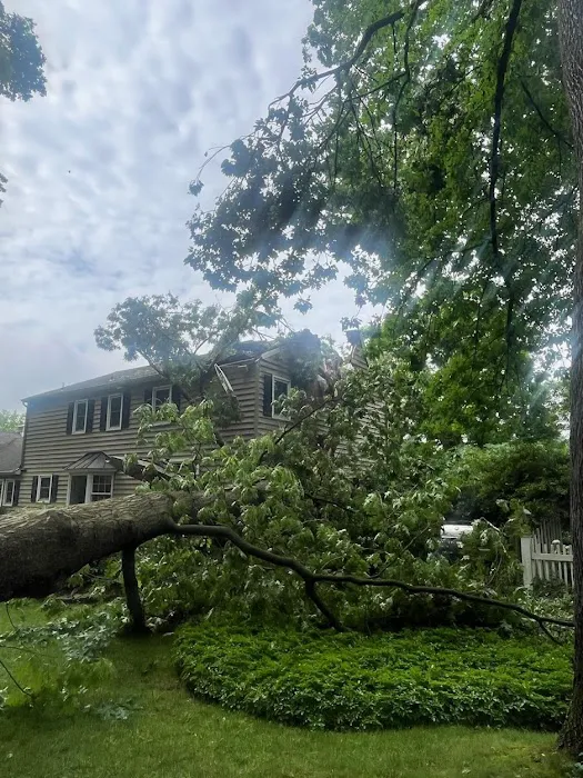 HELP Restoration Services LLC Picture 4