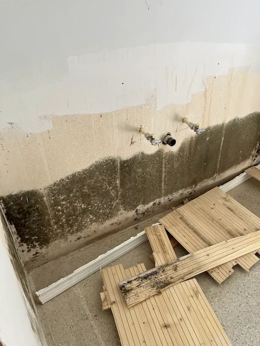 PuroClean of Lansdale Picture 3