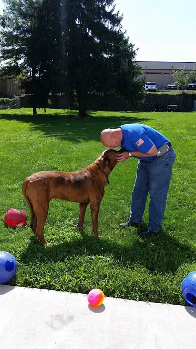 Basement Waterproofing Specialists, Inc. Picture 6