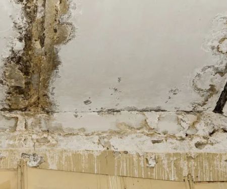 Morris Restoration LLC