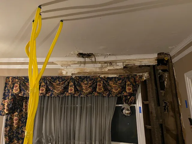 National Water Damage Corp Picture 2