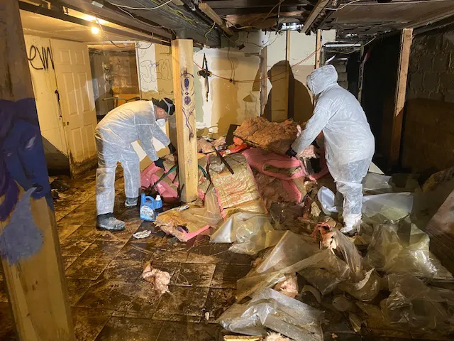 National Water Damage Corp Picture 3