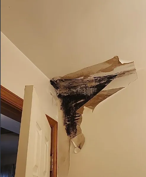 RestoPros of North and Central New Jersey Picture 8