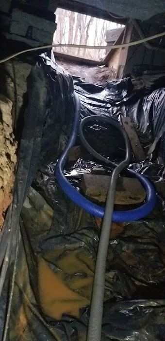 Ultimate Carpet Solutions Picture 1