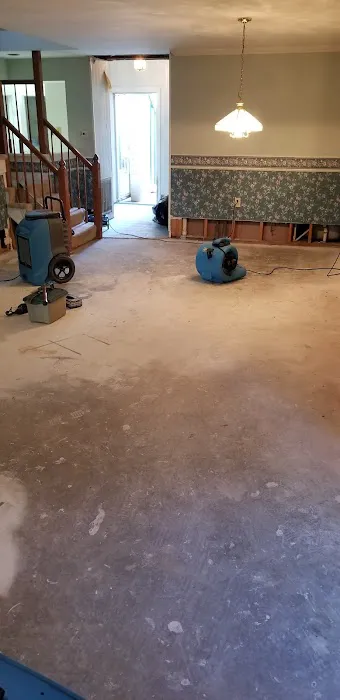 Ultimate Carpet Solutions Picture 6