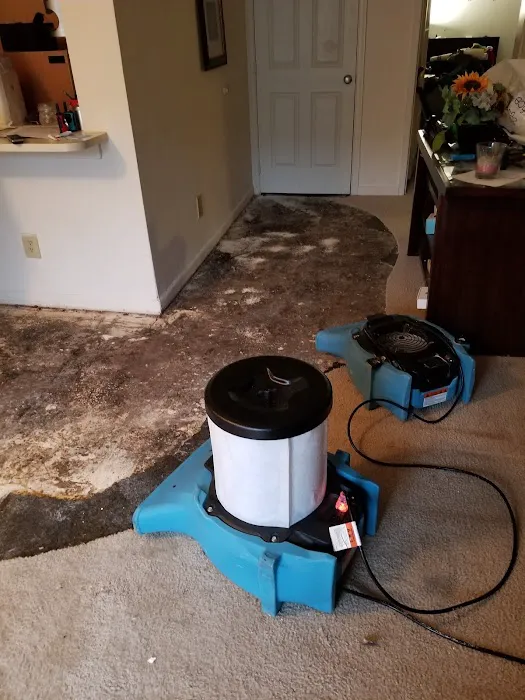 Ultimate Carpet Solutions Picture 7