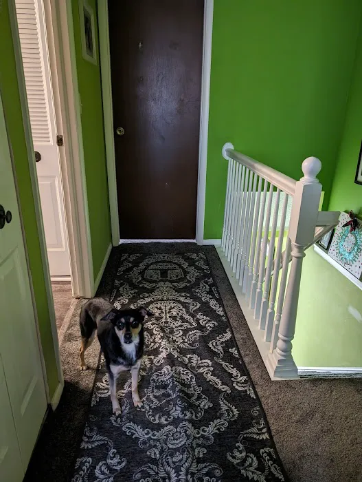 True North Contracting, LLC Picture 6