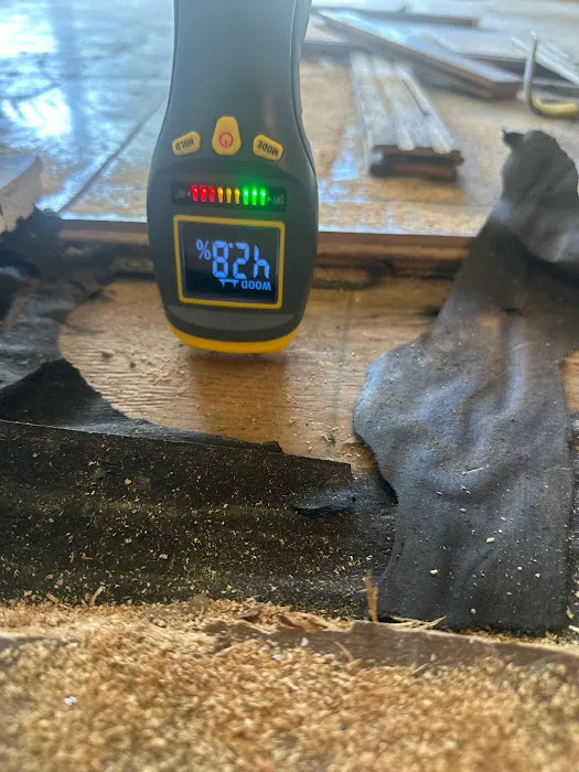 Flood Expert Picture 8