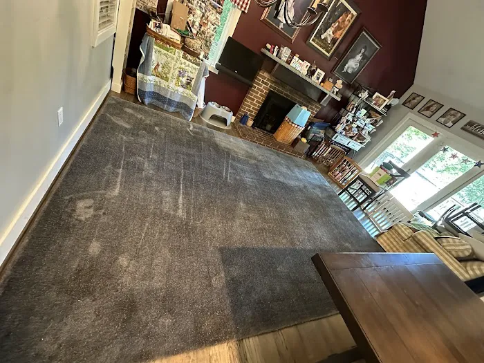 Voda Cleaning & Restoration Picture 8