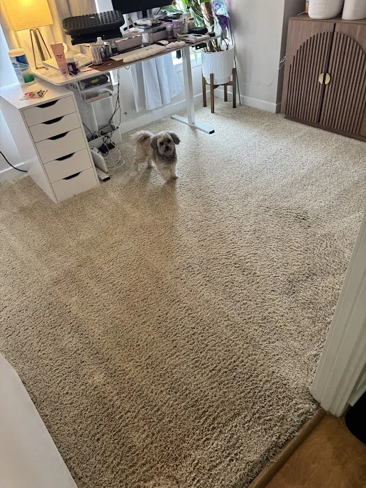 Voda Cleaning & Restoration Picture 10