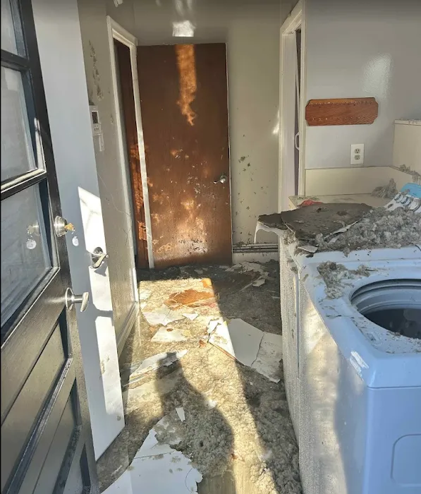 Omega Disaster Restoration Picture 1