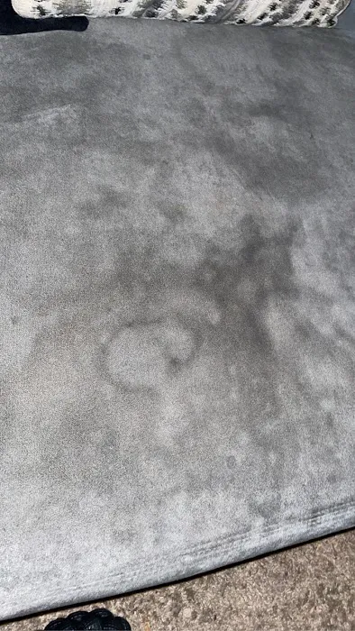 Stanley Steemer Picture 2