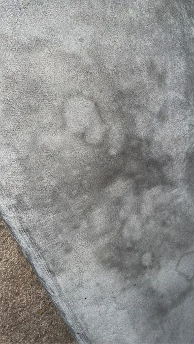 Stanley Steemer Picture 1