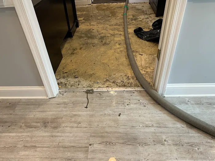 Francisco's Cleaning & Restoration Service, Inc. Picture 8