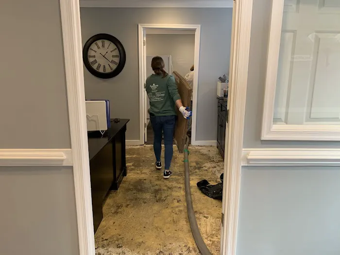 Francisco's Cleaning & Restoration Service, Inc. Picture 1