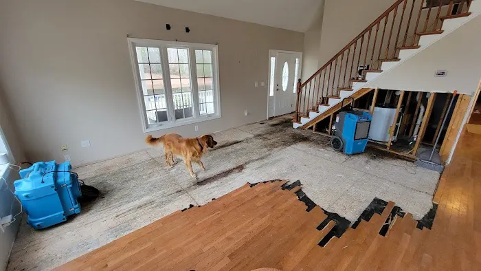 Francisco's Cleaning & Restoration Service, Inc. Picture 7