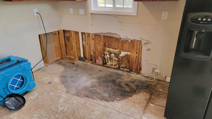 Francisco's Cleaning & Restoration Service, Inc. Picture 3