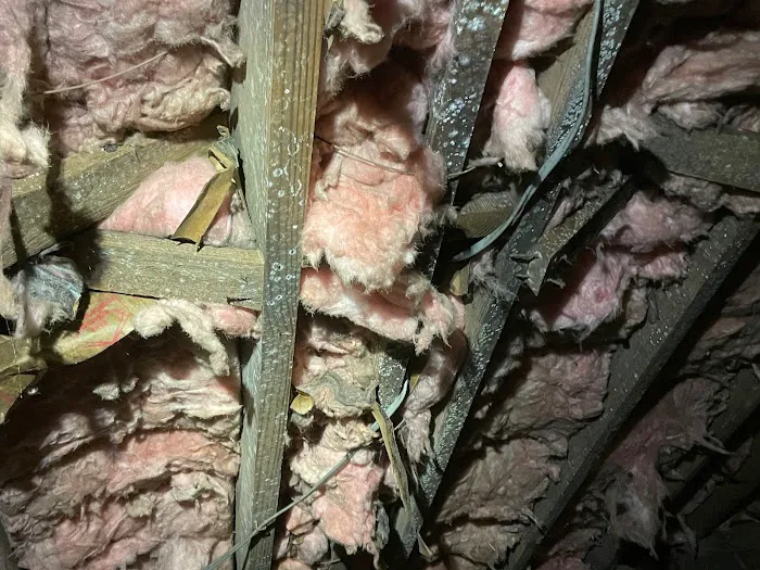 Superior Remediation Services Picture 3