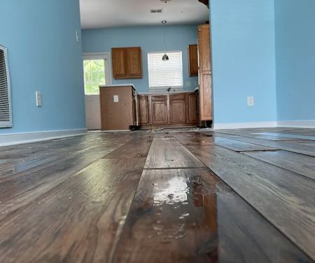 Superior Remediation Services