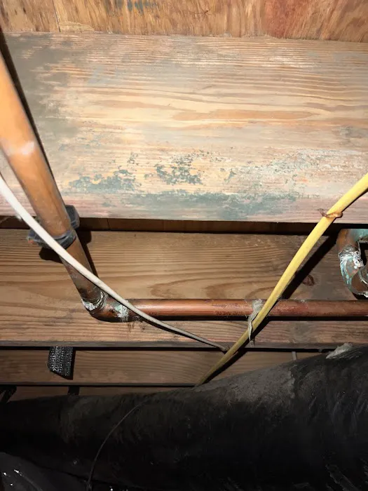 Superior Remediation Services Picture 2