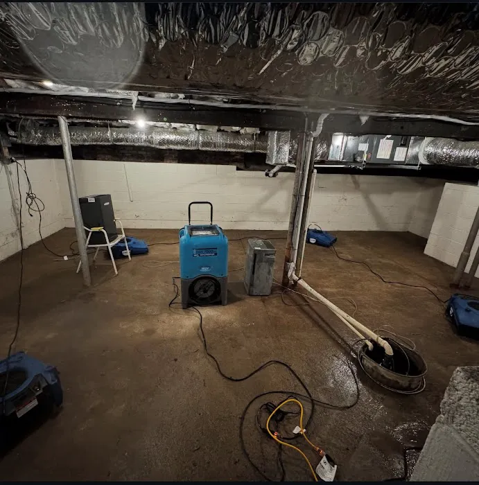 Superior Remediation Services Picture 4