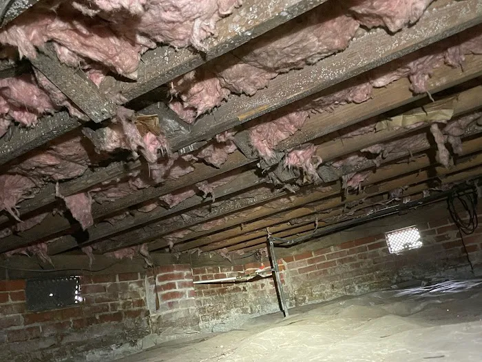 Superior Remediation Services Picture 9