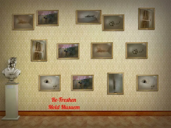 Re-Freshen Picture 4