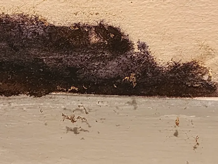 Re-Freshen Picture 1