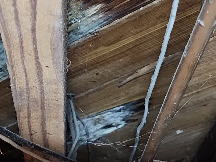 Re-Freshen Picture 3