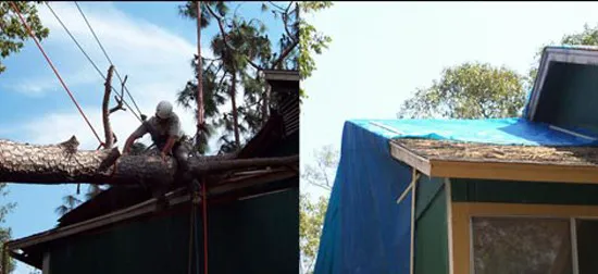 Virginia Restoration Services Picture 7