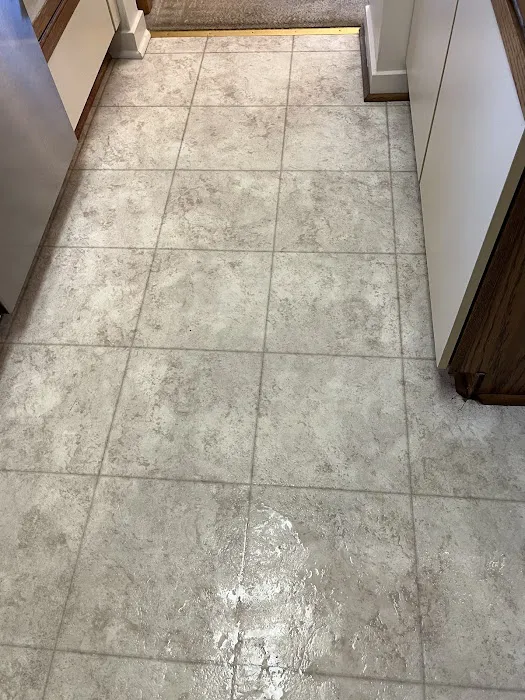 Stanley Steemer Picture 9