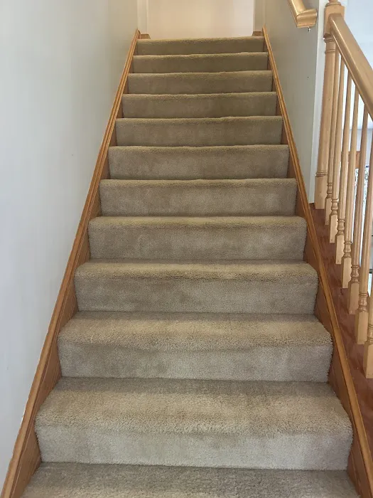 Stanley Steemer Picture 8