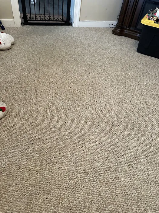 Stanley Steemer Picture 6