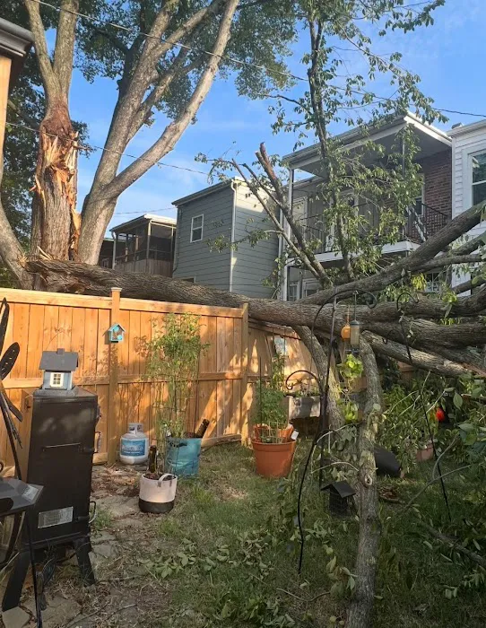 United Restorations Picture 6