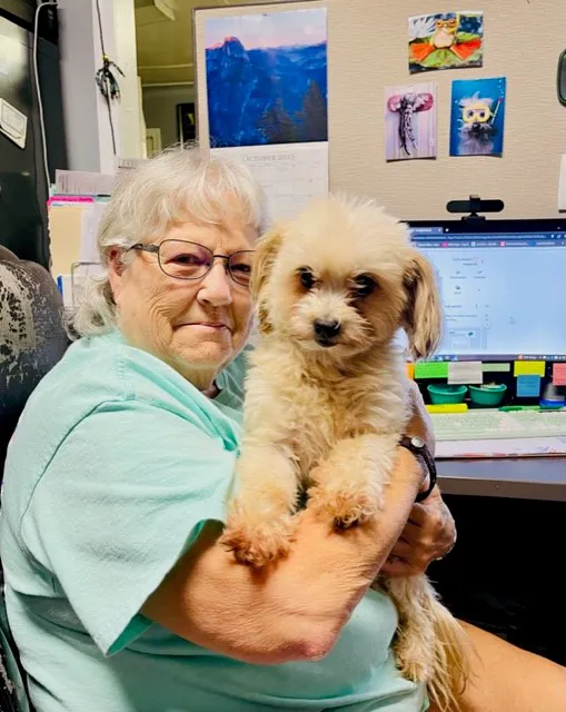 MoldX, Inc Picture 8