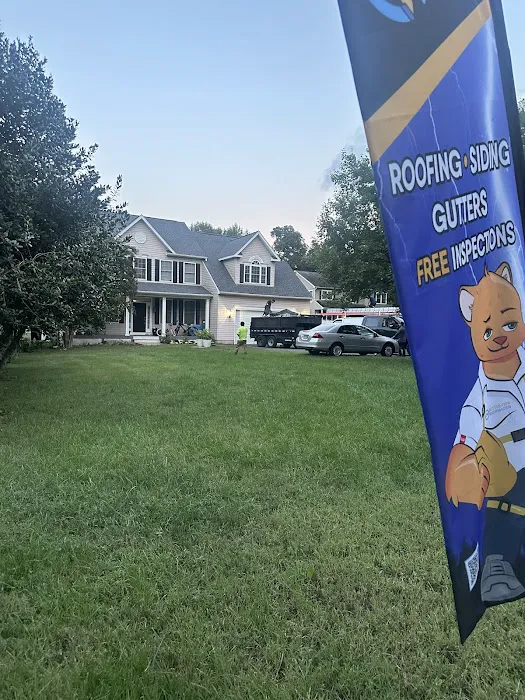 Better View Restoration Picture 8