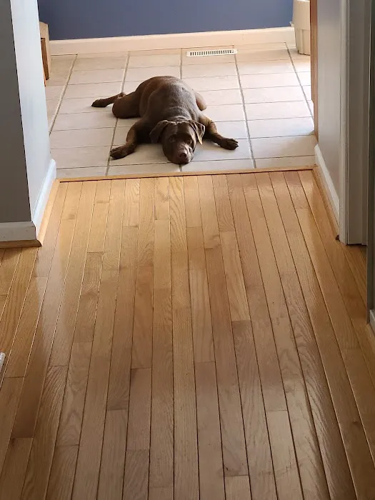 Mold Remediation Pro's Picture 7