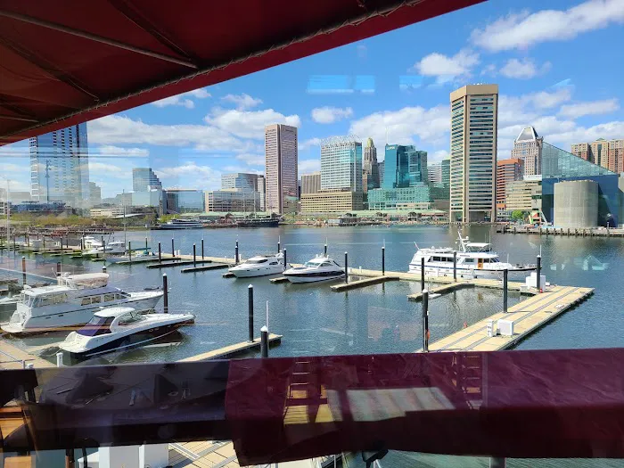 Mold Remediation Pro's Picture 4