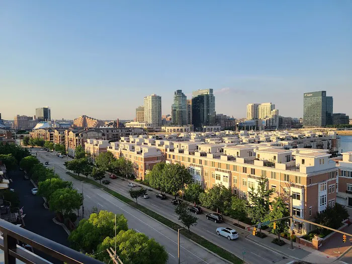 Mold Remediation Pro's Picture 2