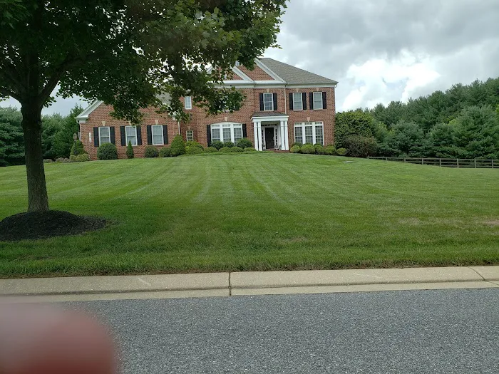 Mold Remediation Pro's Picture 8