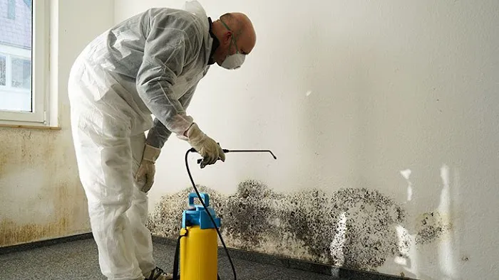 Mold Remediation Pro's Picture 9