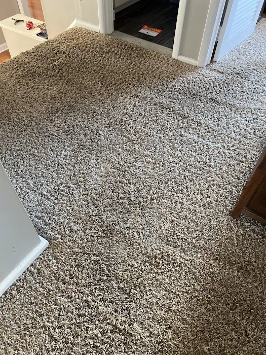 Stanley Steemer Picture 9