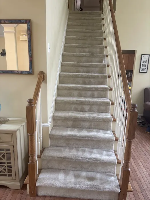 Stanley Steemer Picture 3