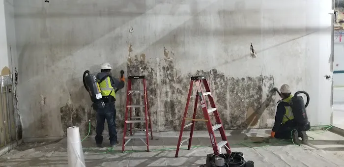 Access Mold & Fire Restoration Picture 3